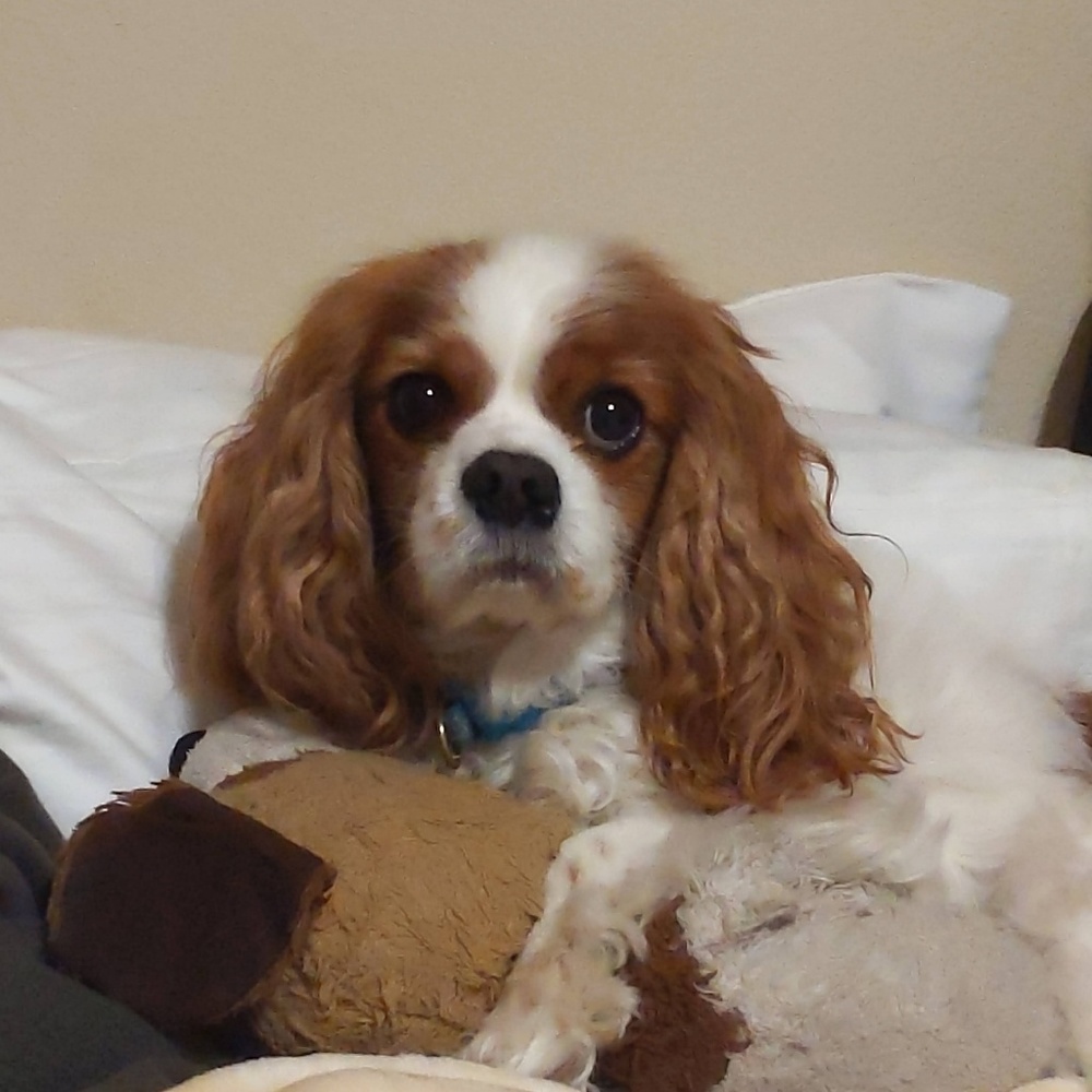 Meet your Posher, Trina